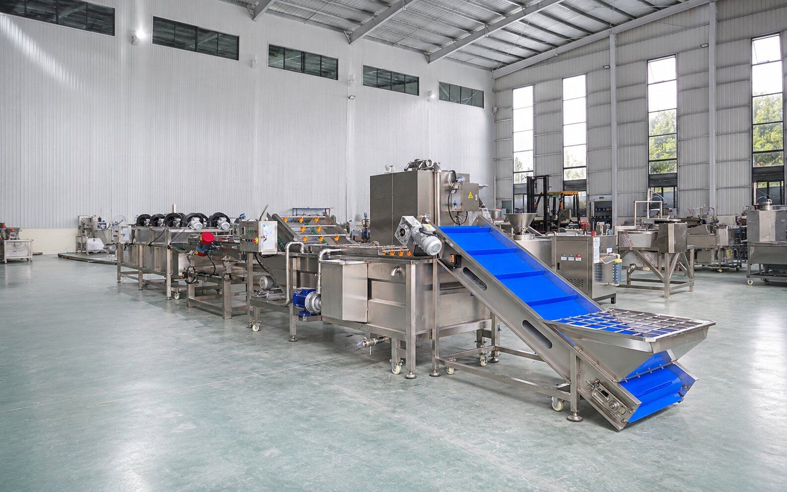 Fruit & Vegetable Processing Equipment