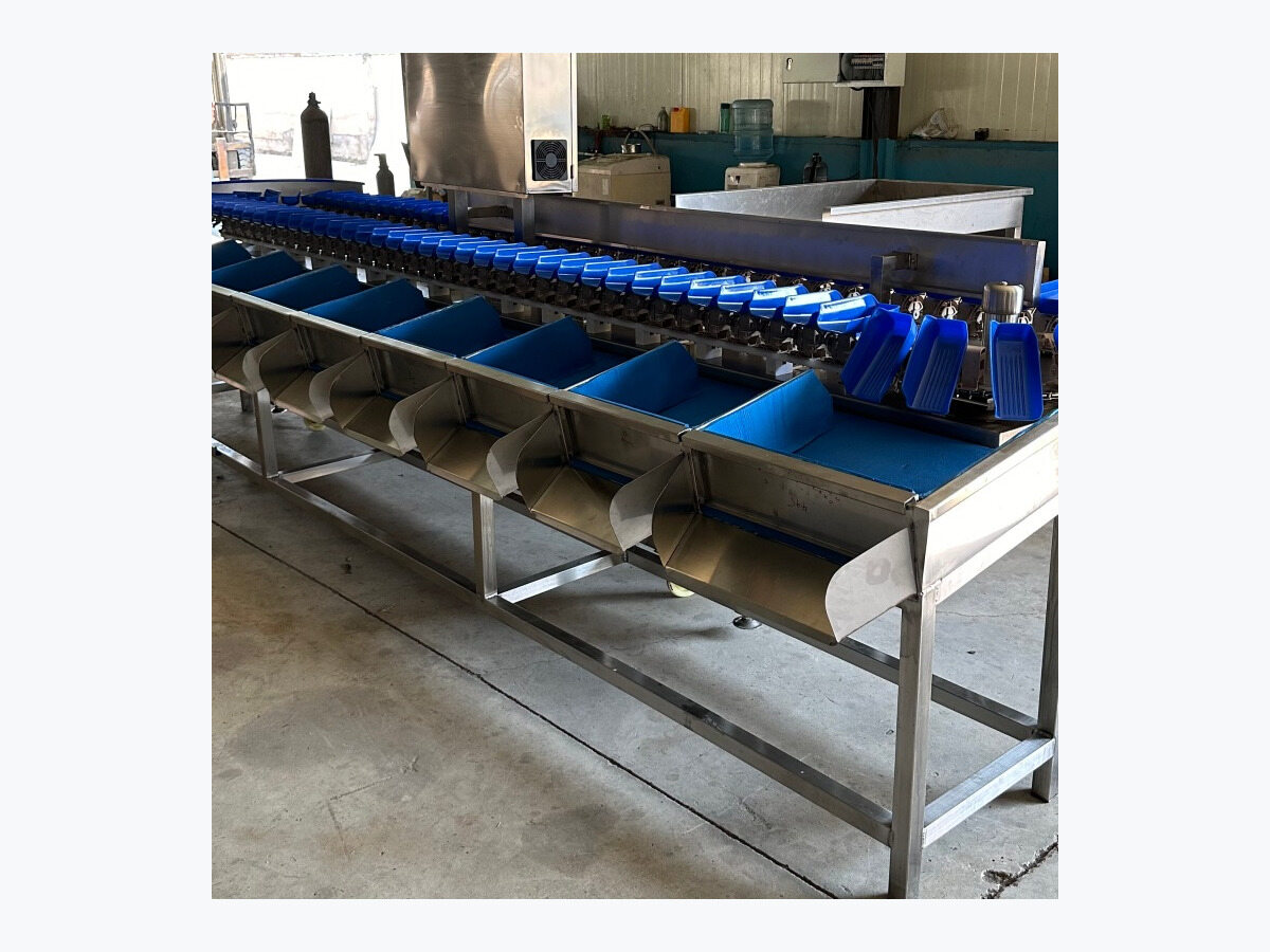 Example receiving-table arrangement for weight grading equipment