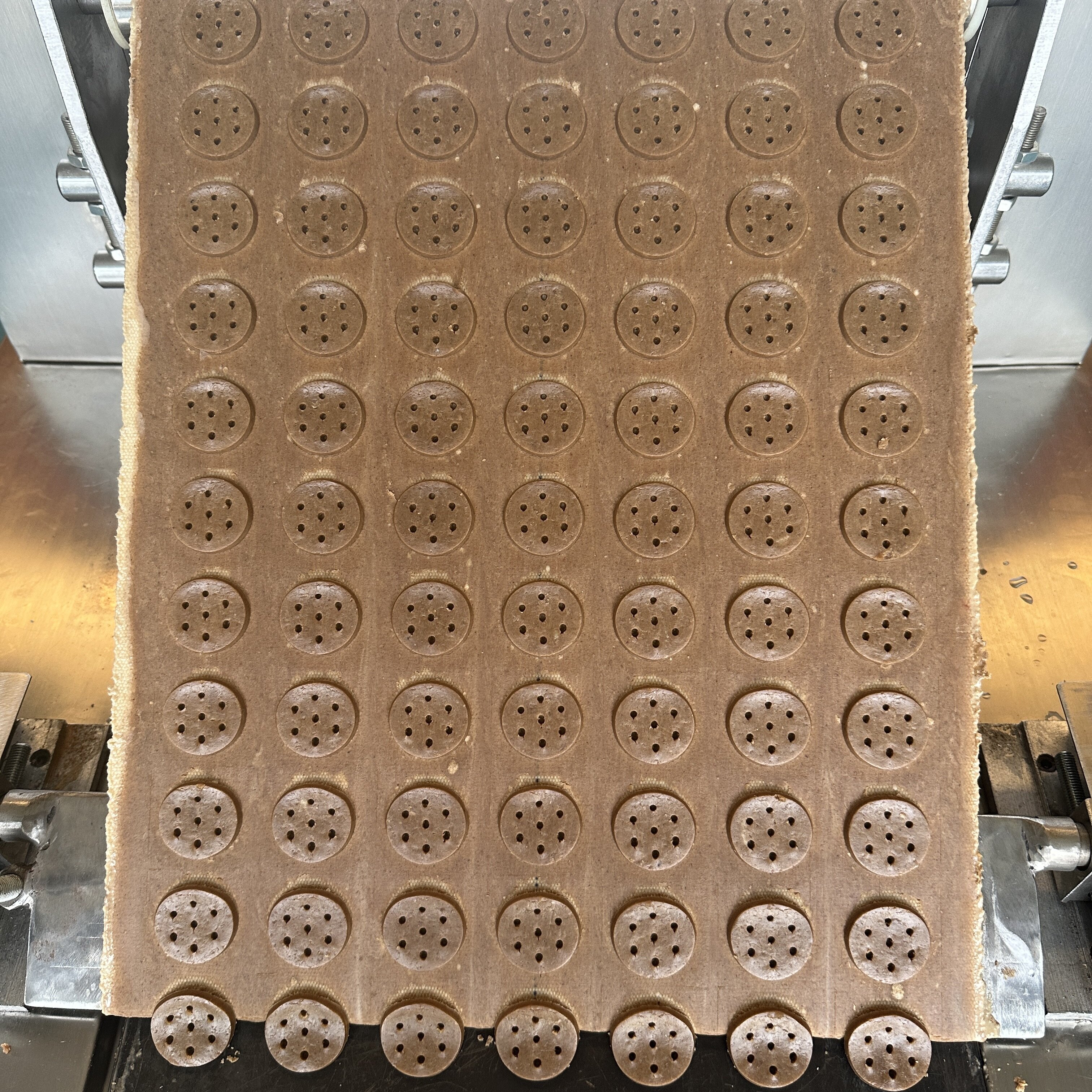 Round unbaked biscuit dough pieces on the forming conveyor