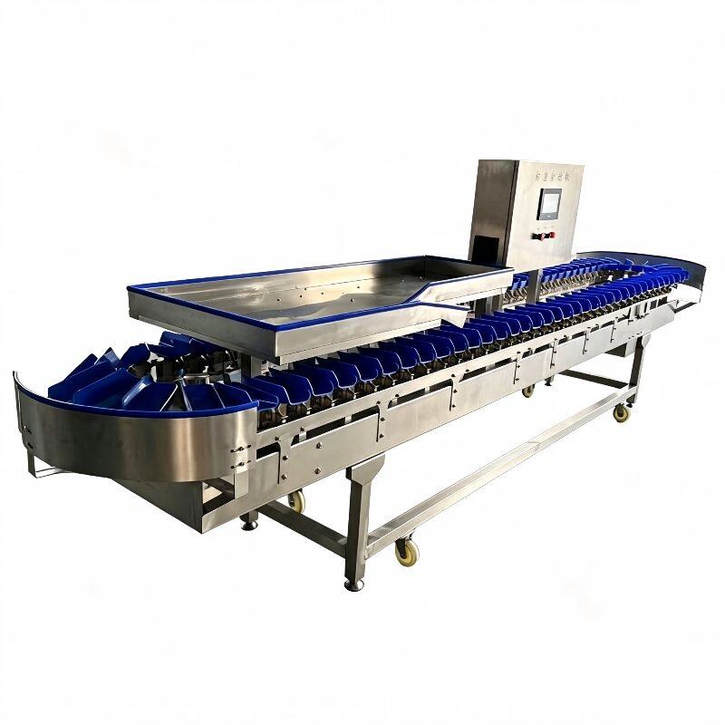 Automatic Weight Grading Machine